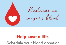 blood drive